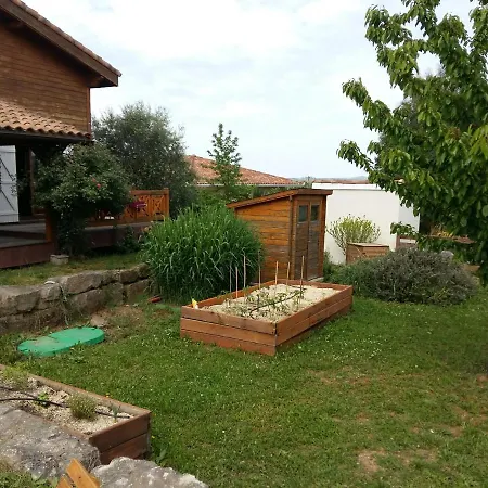 Gasthuis Ecolodge Bellevue *