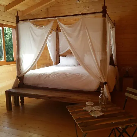 Ecolodge Bellevue