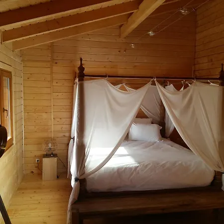 Ecolodge Bellevue * Albi