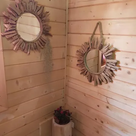 Ecolodge Bellevue Albi