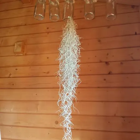 Pensjonat Ecolodge Bellevue