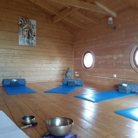Gæstehus Ecolodge Bellevue Albi