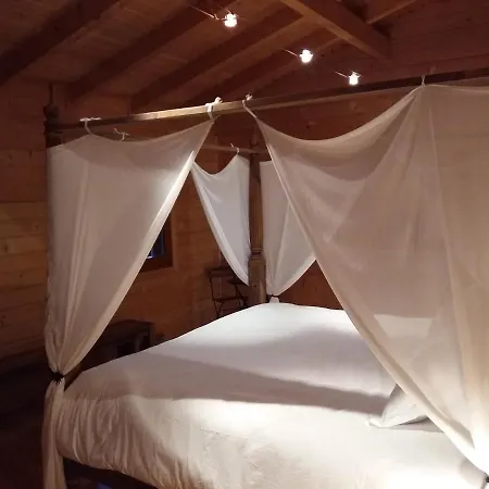 Ecolodge Bellevue * Albi