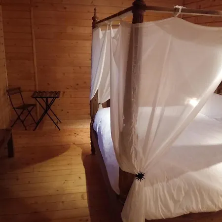 Ecolodge Bellevue Albi