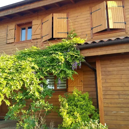 Ecolodge Bellevue Pensjonat *